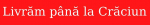 Livrare rapida