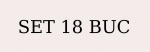 Set 18 buc